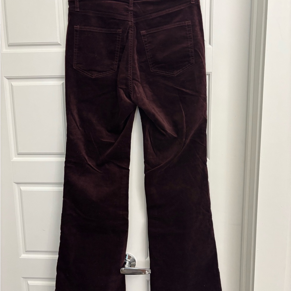 LOFT Rich Burgundy pants